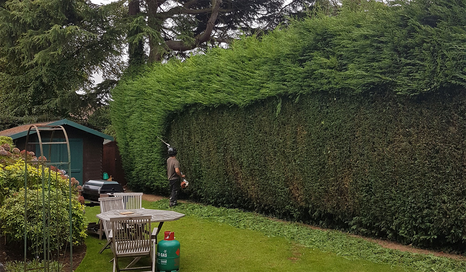 Hedge cutting Manchester. Tree Services Manchester.