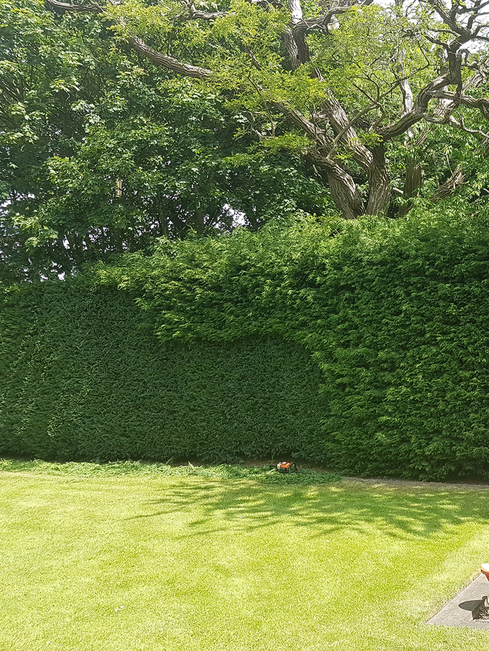 20190523_124833_small2