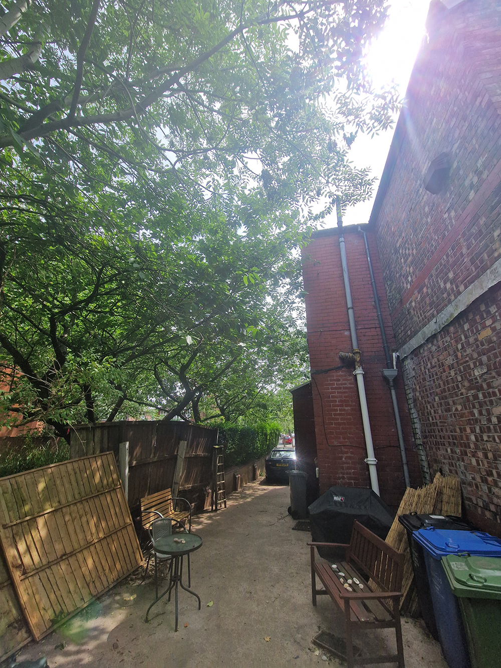 Cherry tree prune away from house