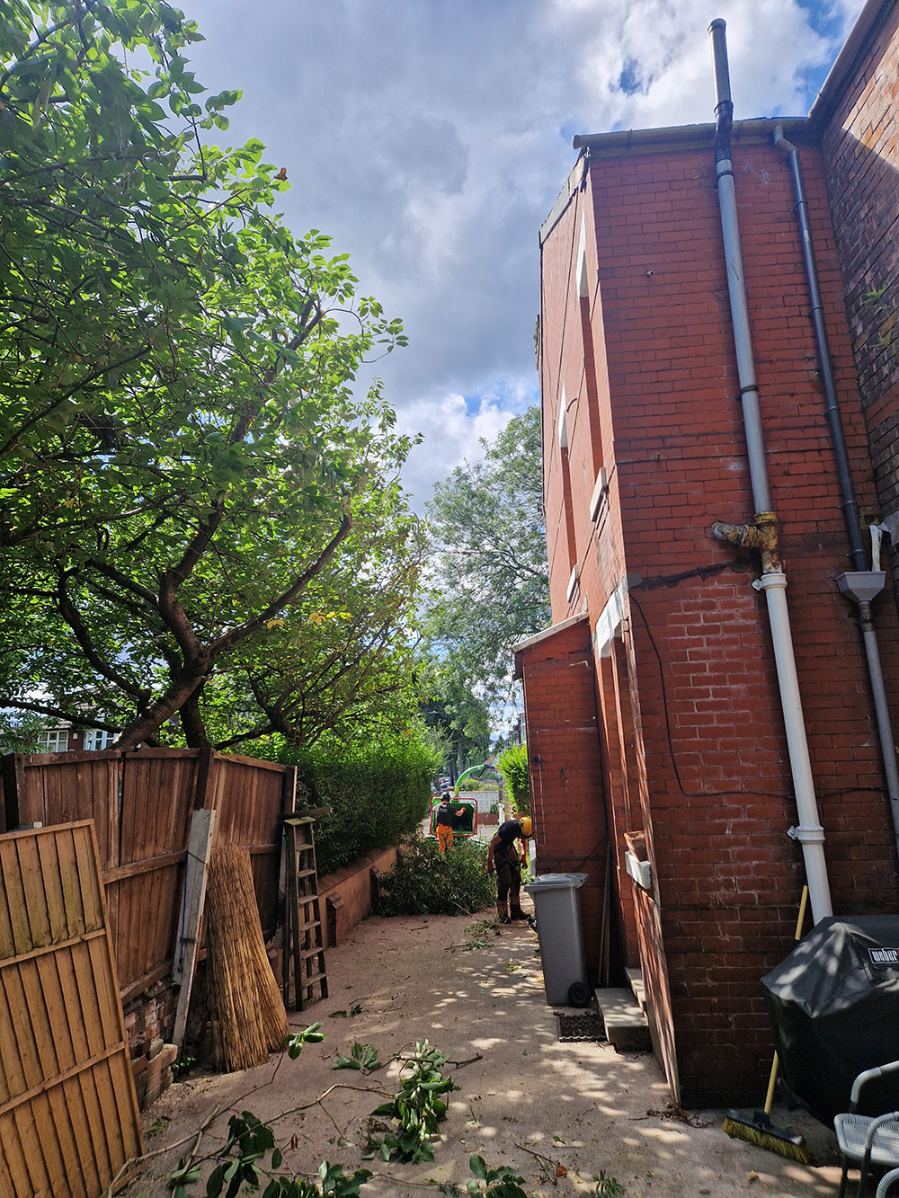 Cherry tree prune away from house
