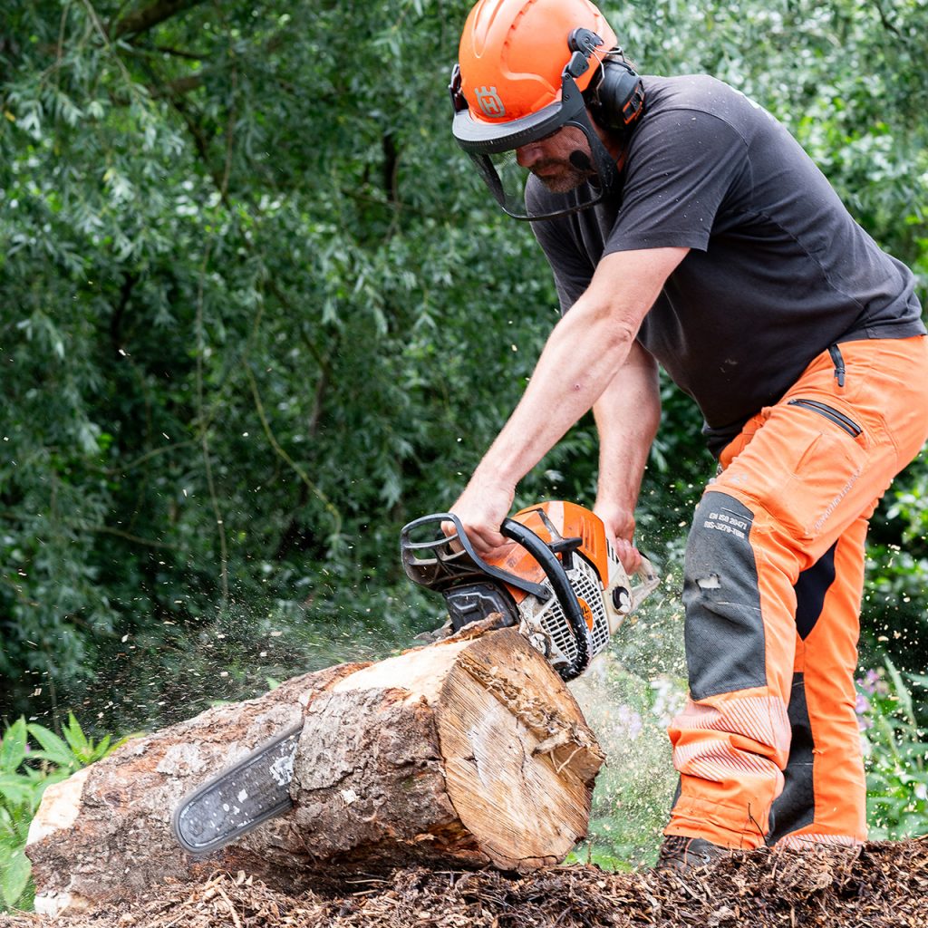 Tree Surgeon Manchester & Cheshire - TreeStyle Arb 3