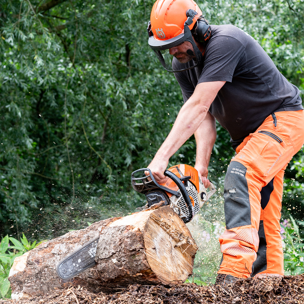 Tree Surgeon Manchester & Cheshire - TreeStyle Arb 3