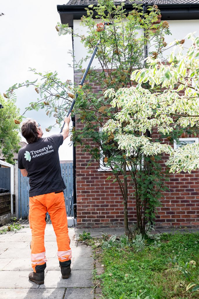 Tree Surgeon Manchester & Cheshire - TreeStyle Arb 7