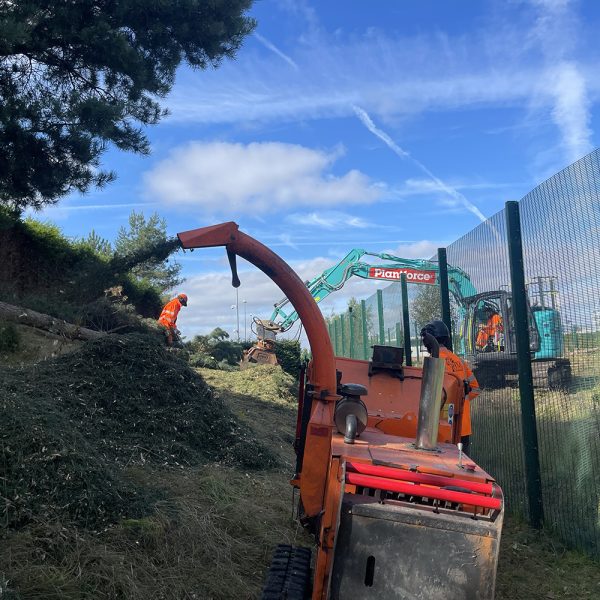 Site Clearance