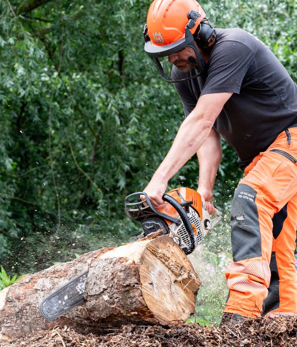 Tree Style Arboriculture