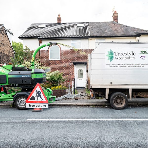 Tree Style Arboriculture