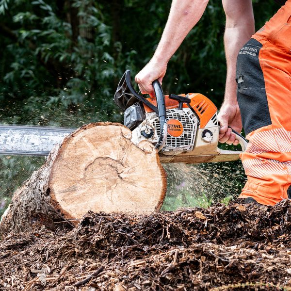 Tree Style Arboriculture